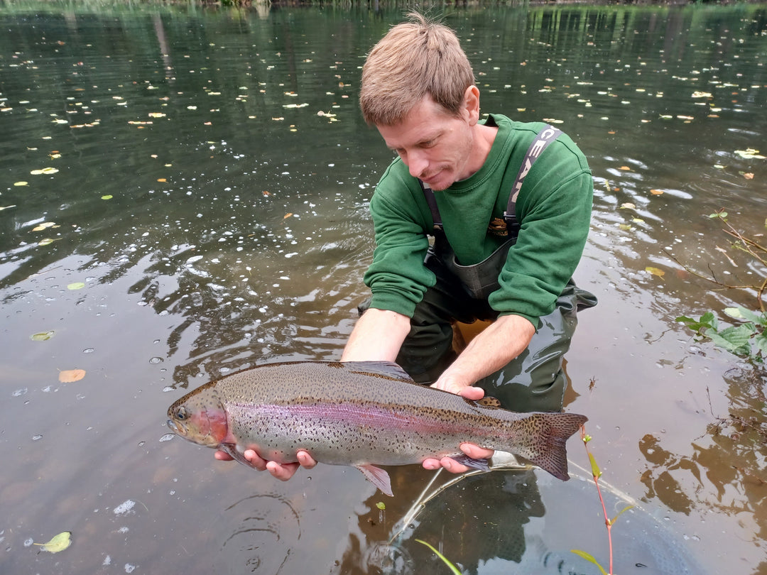 Fishery Report 25th September