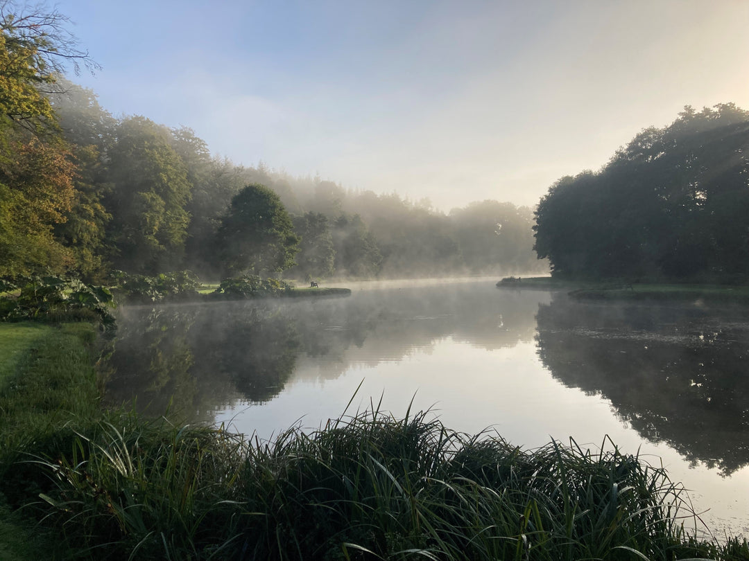 Fishery Report 3rd October