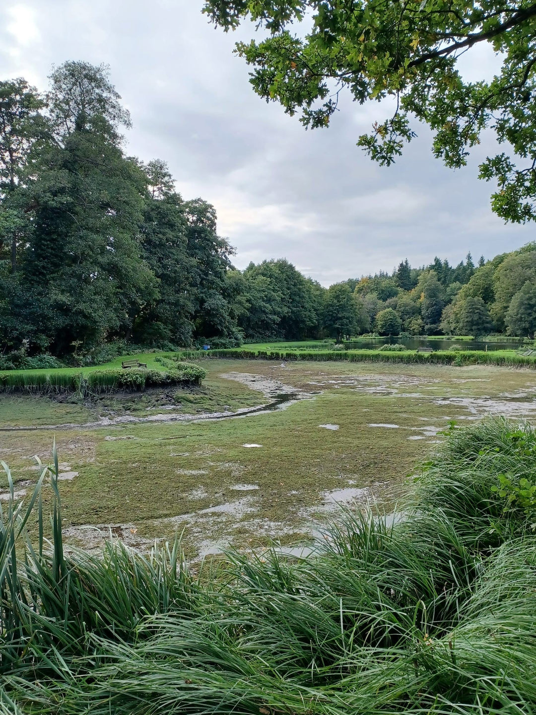 Fishery Report 25th September
