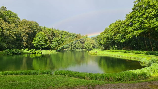Fishery Update 11th June
