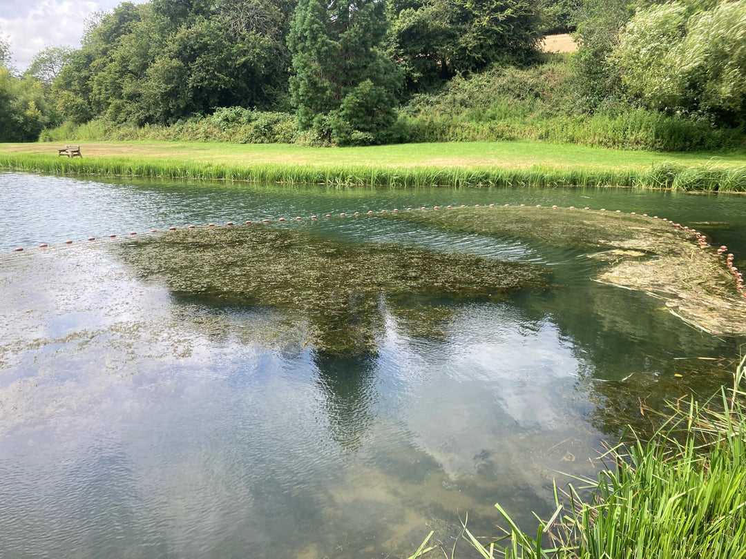 Fishery Report 17thJuly
