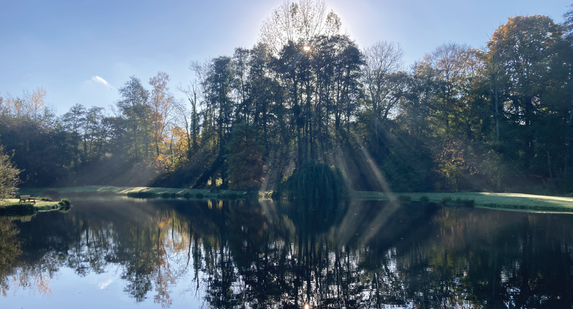 ALBURY PARK – Albury Estate Fisheries