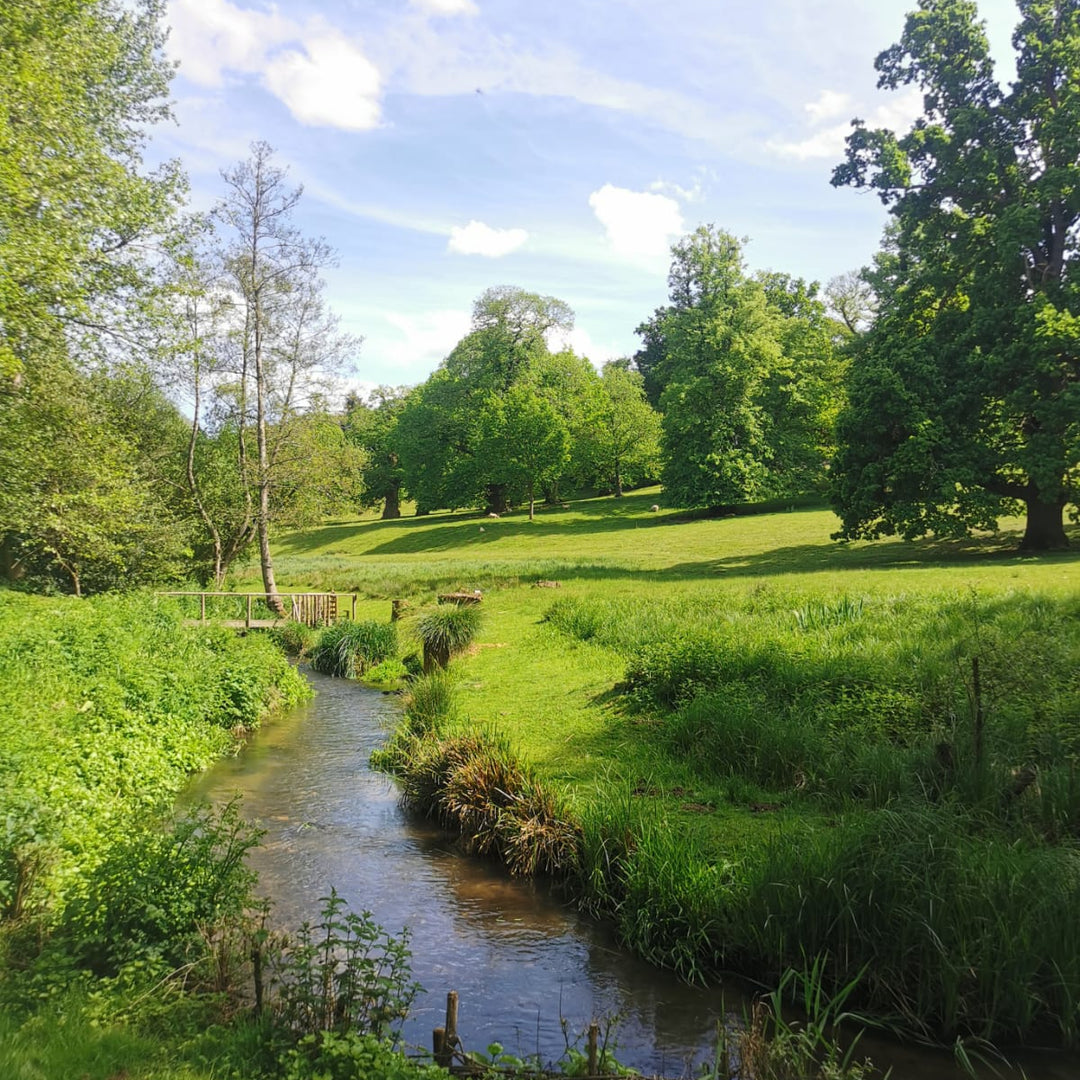 Syndicate Membership 2026/27