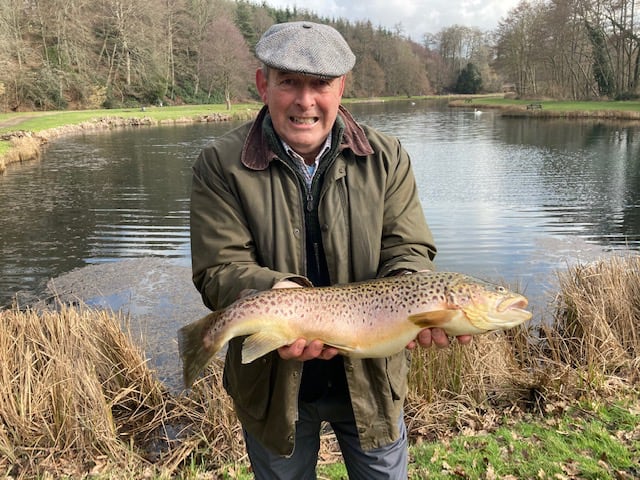 stunning trout from albury